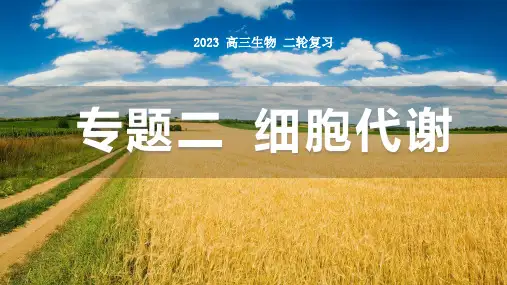高三二轮复习生物细胞代谢课件