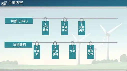 抗组胺药物的临床应用及常见皮肤病的治疗ppt课件