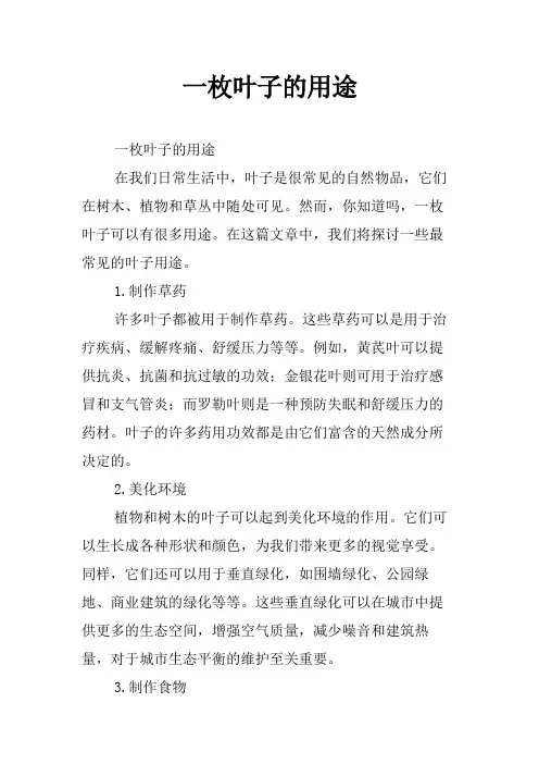 一枚叶子的用途