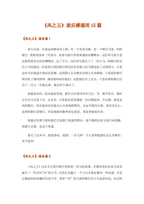 《风之王》读后感通用15篇