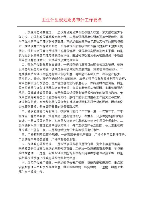 卫生计生规划财务审计工作要点
