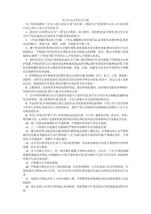 实习生安全责任书5篇