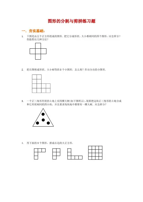  精讲试题16   图形的分割与剪拼