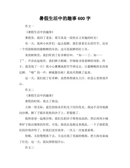 暑假生活中的趣事600字