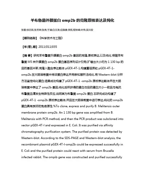 羊布鲁菌外膜蛋白omp2b的克隆原核表达及纯化