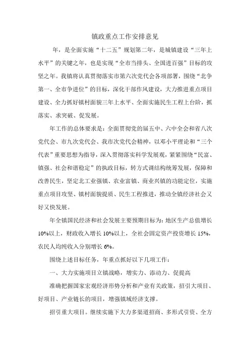 镇政重点工作安排意见.doc