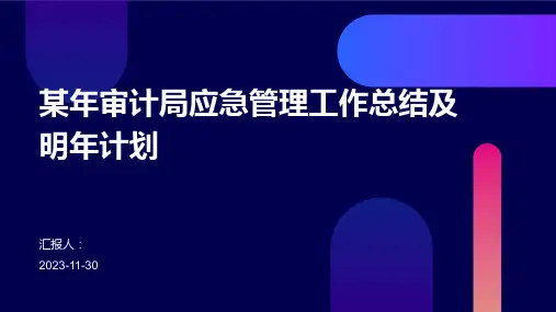 某年审计局应急管理工作总结及明年计划
