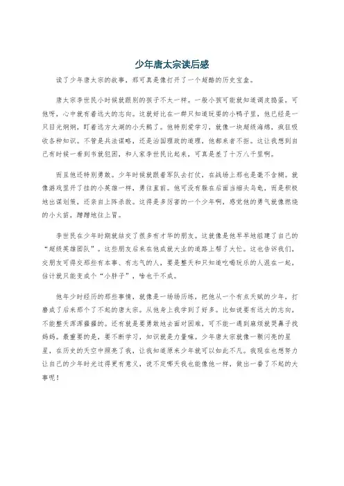 少年唐太宗读后感