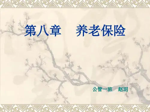 养老保险制度概述