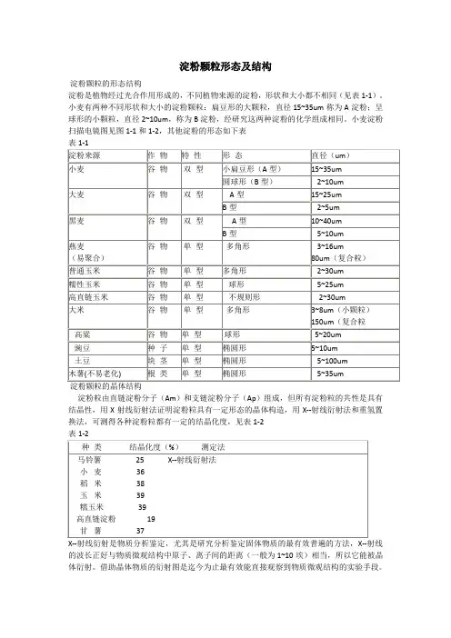 淀粉颗粒形态及结构