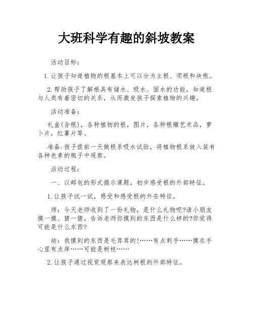 大班科学有趣的斜坡教案