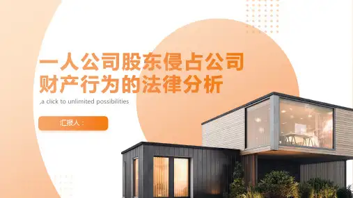 “一人”公司股东侵占公司财产行为的法律分析
