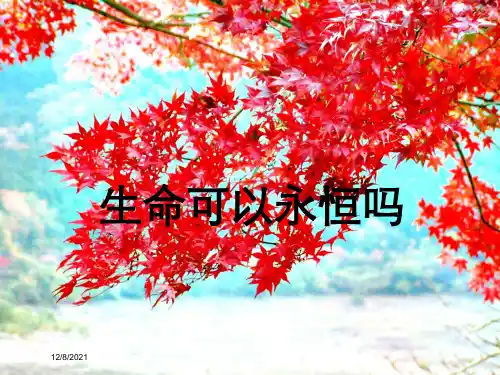 七年级道德与法治上册 第四单元 生命的思考 第八课 探问生命 第1框 生命可以永恒吗课件 