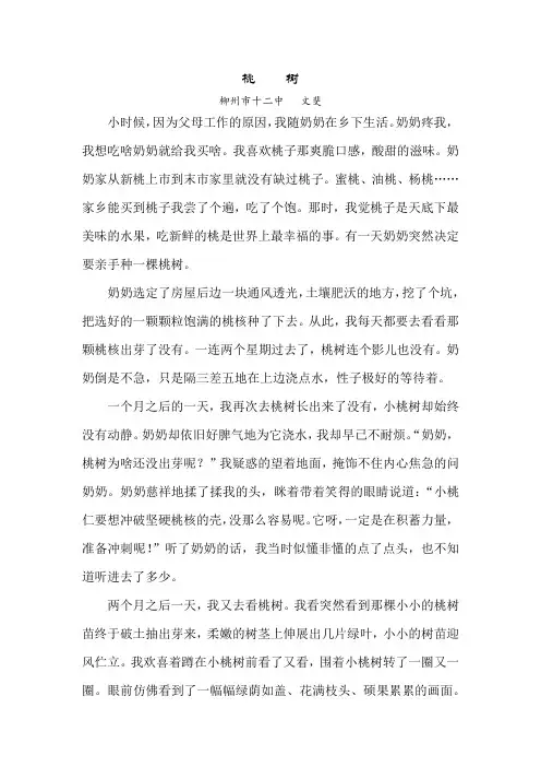 桃树  习作   记叙文