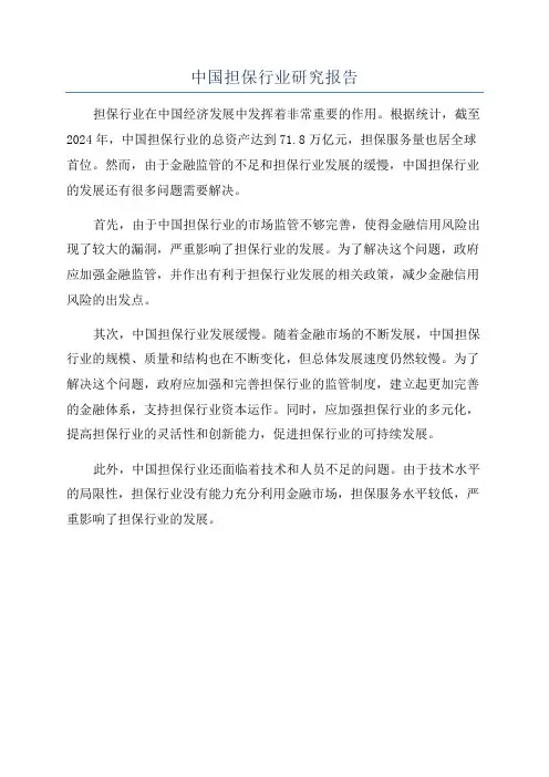 中国担保行业研究报告