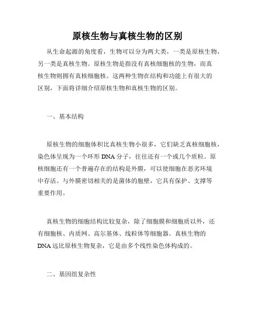 原核生物与真核生物的区别