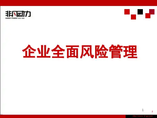 企业全面风险管理ppt课件