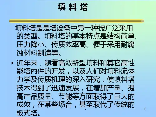 填料塔-10PPT课件