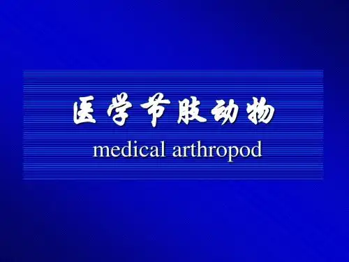 昆虫概论、蚊、蝇