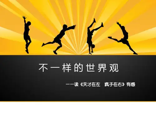不一样的世界观——《天才在左疯子在右》读后感2
