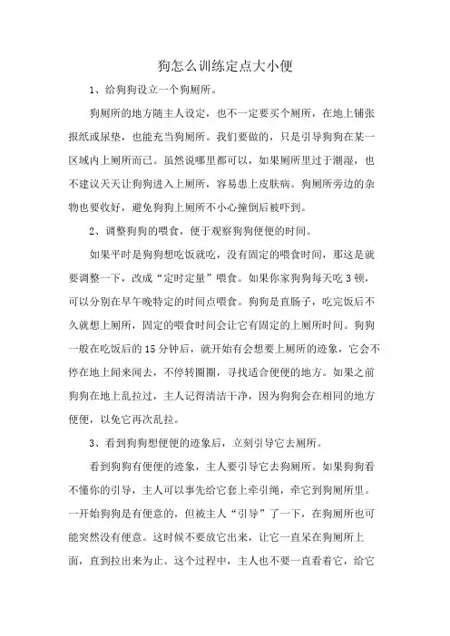 狗怎么训练定点大小便