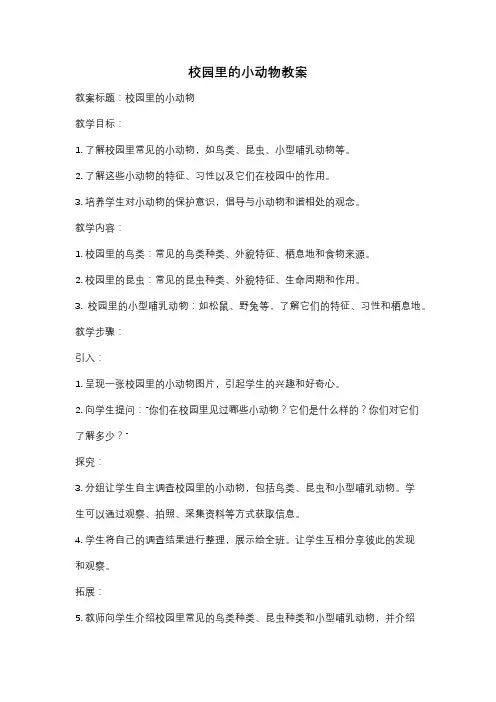 校园里的小动物教案