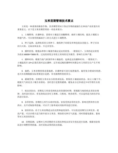 玉米苗期管理技术要点