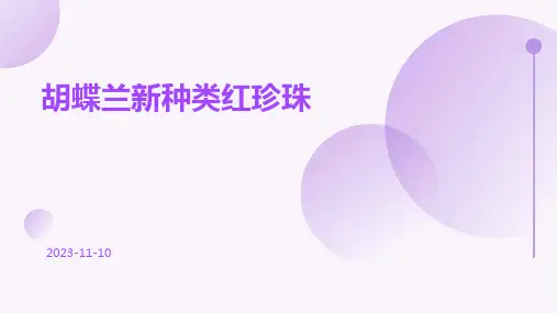 胡蝶兰新种类红珍珠