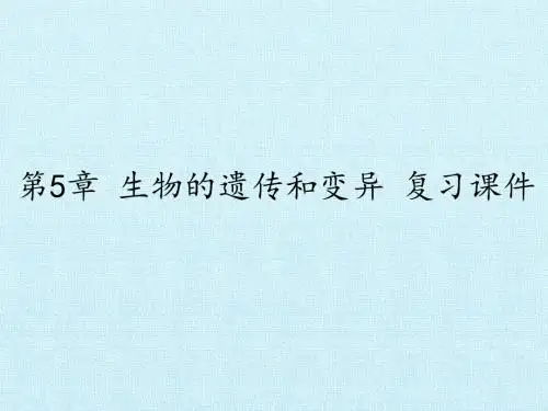 生物的遗传和变异 复习课件