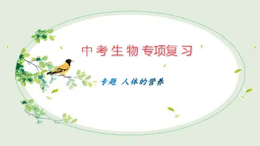专题06 人体的营养-2023年中考生物专题复习课件