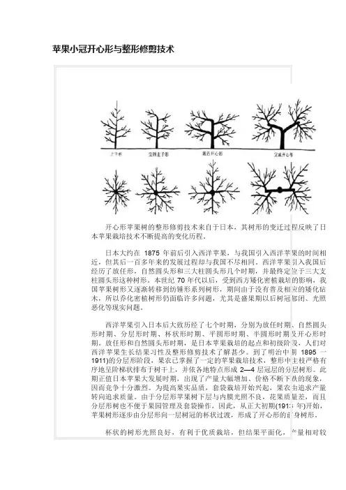 苹果小冠开心形与整形修剪技术