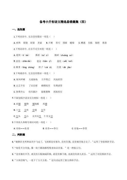 2021年小升初语文精选易错题集