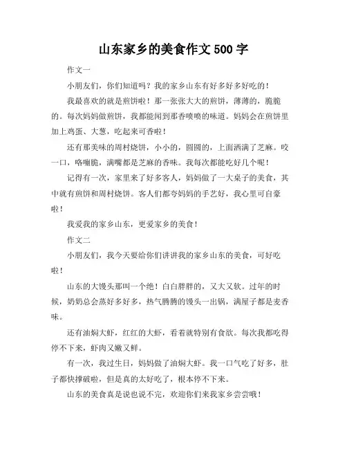 山东家乡的美食作文500字