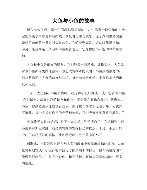 大鱼与小鱼的故事