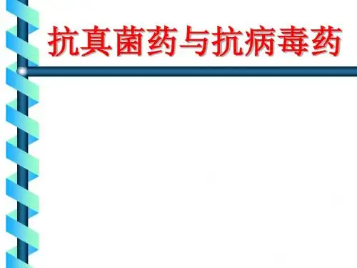 抗真菌药物