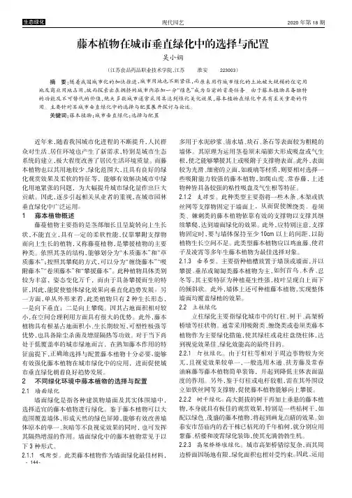 藤本植物在城市垂直绿化中的选择与配置