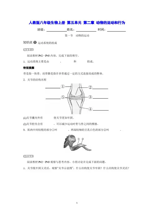 人教版八年级生物上册 第五单元 第二章  第一节 动物的运动 课时同步练习(含详细解答)