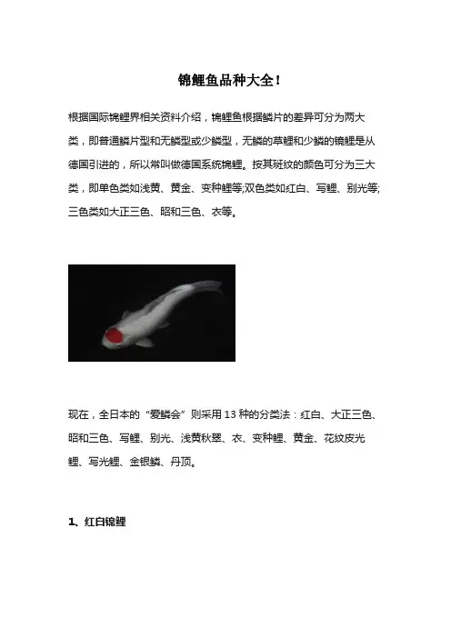 锦鲤品种大全及图解