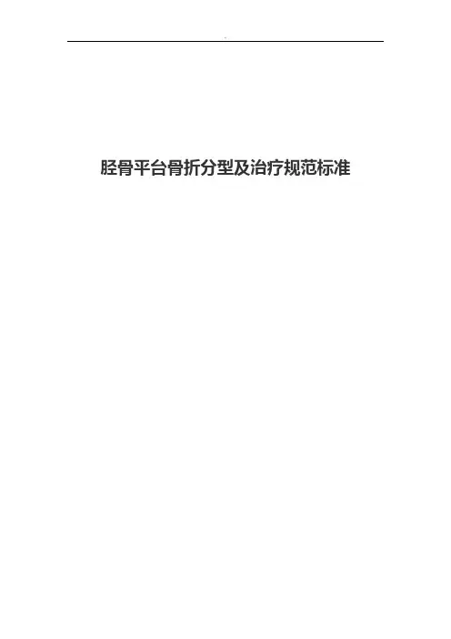 胫骨平台骨折分型及治疗规范标准