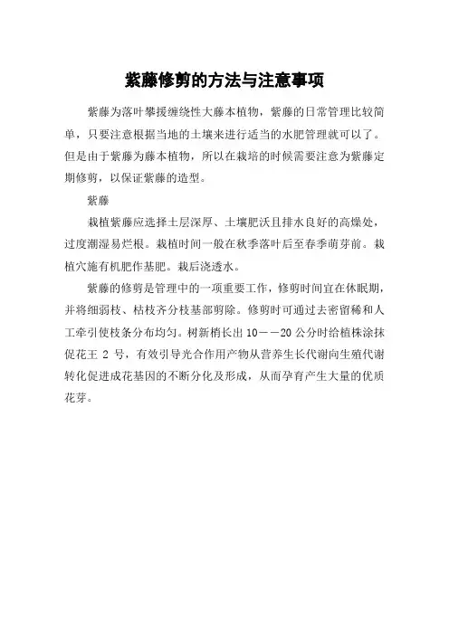 紫藤修剪的方法与注意事项