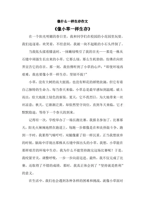 像什么一样生存作文