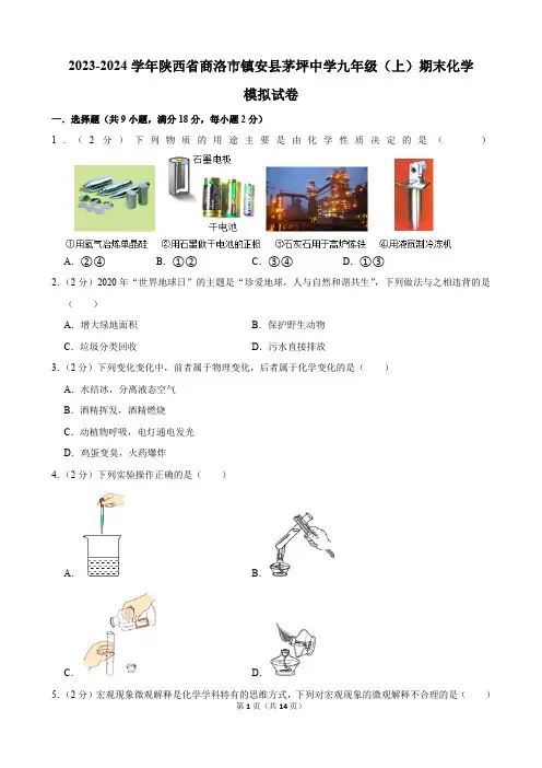 2023-2024学年陕西省商洛市镇安县茅坪中学九年级(上)期末化学模拟试卷(含解析)
