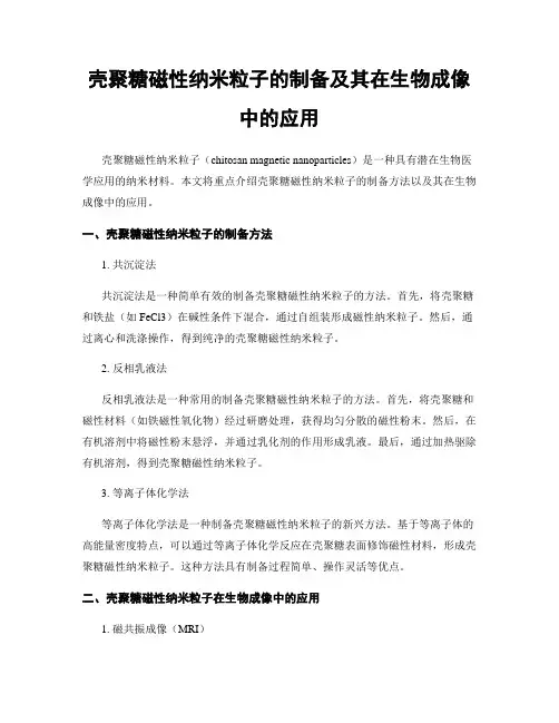 壳聚糖磁性纳米粒子的制备及其在生物成像中的应用