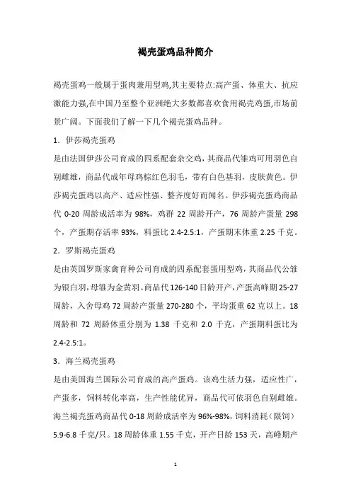 褐壳蛋鸡品种简介