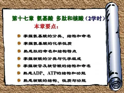 第十七章  氨基酸 多肽和核酸(2hr)