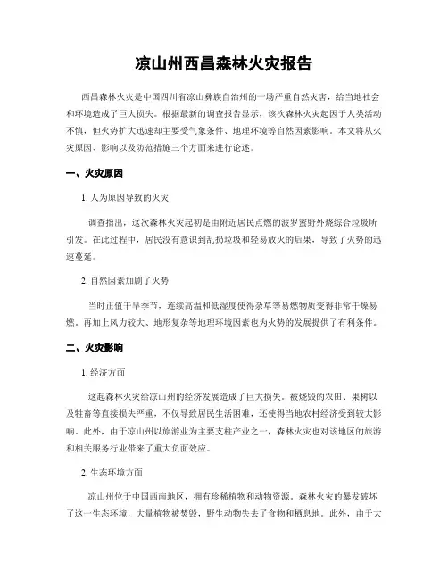 凉山州西昌森林火灾报告