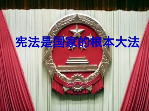 宪法是国家的根本大法0