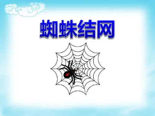 《蜘蛛织网》PPT课件三