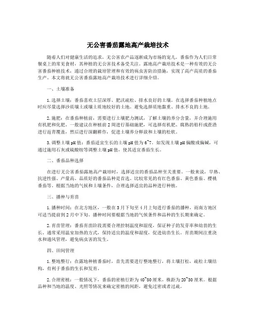 无公害番茄露地高产栽培技术
