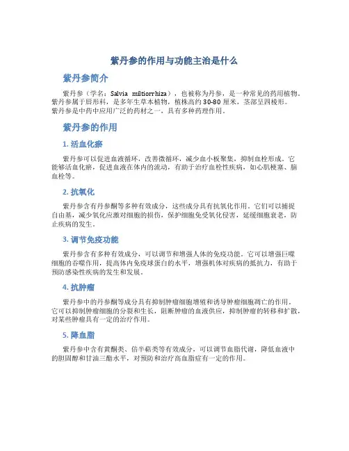 紫丹参的作用与功能主治是什么